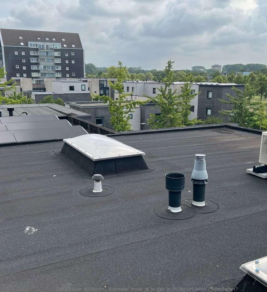 Dak Laten Inspecteren Hillegom