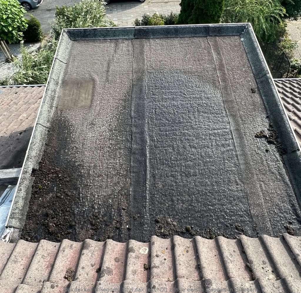 Dak Lekt Hillegom