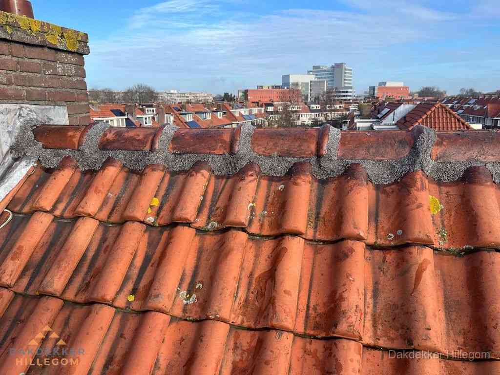 Nieuw bitumen plat dak met uitzicht over woonwijk in Hillegom