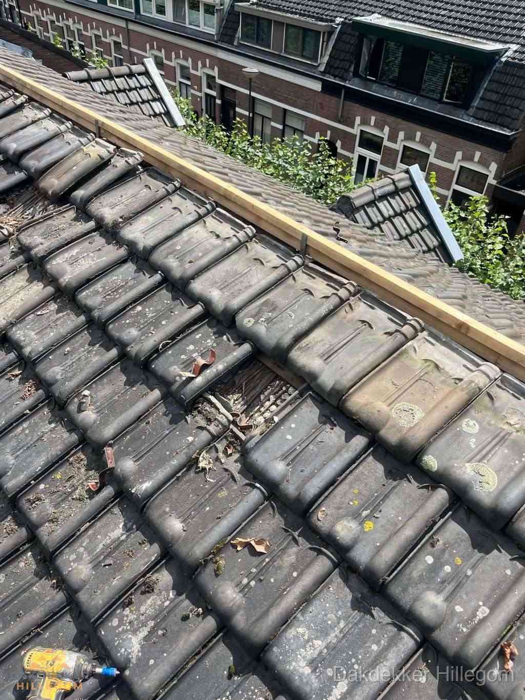 Dakonderhoud aan schuin pannendak met nokvernieuwing in Hillegom