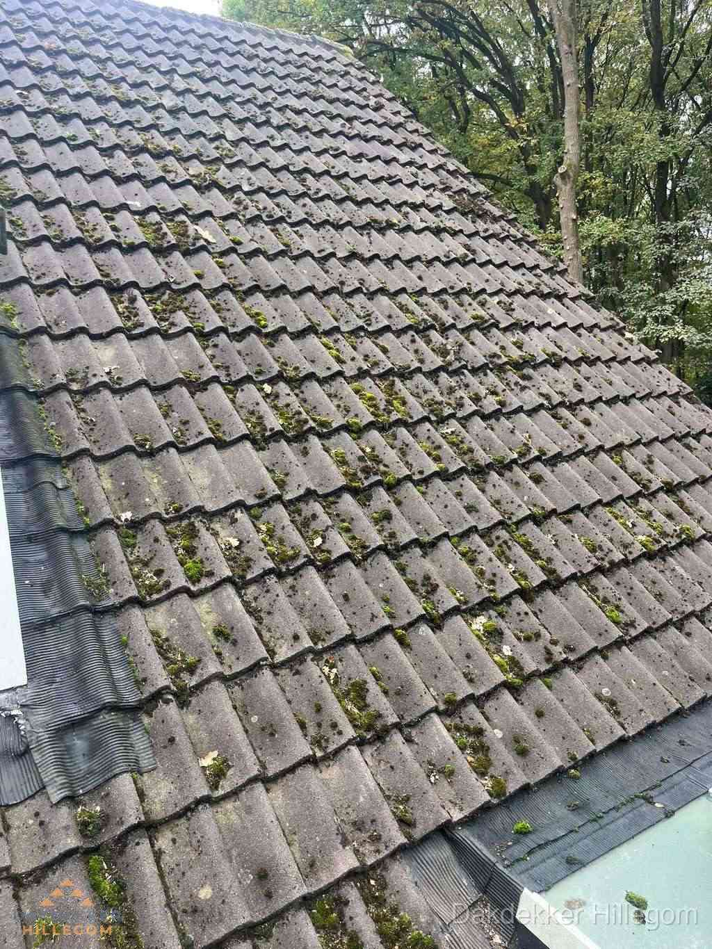 Verweerd pannendak met mosgroei dat renovatie nodig heeft in Hillegom