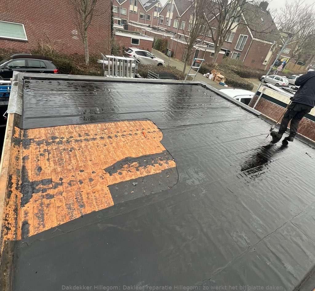 Dakleer Reparatie Hillegom