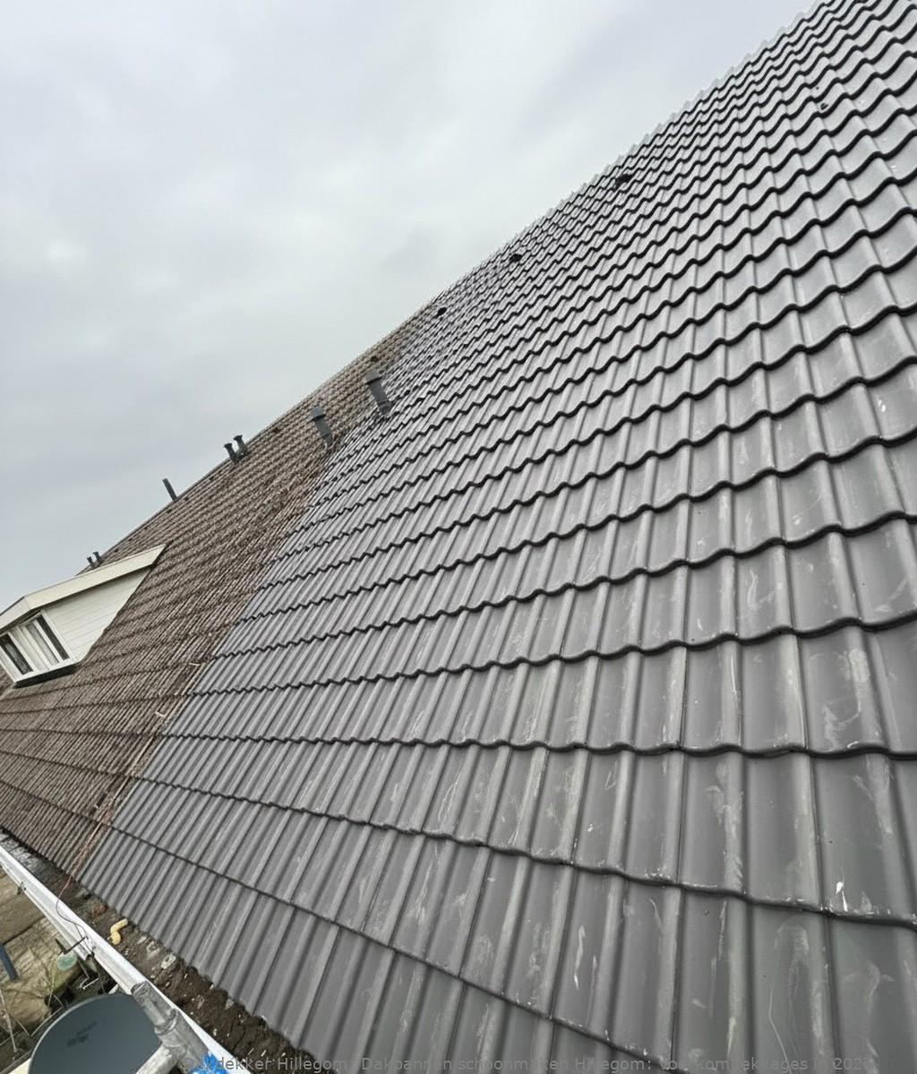 Dakpannen Schoonmaken Hillegom