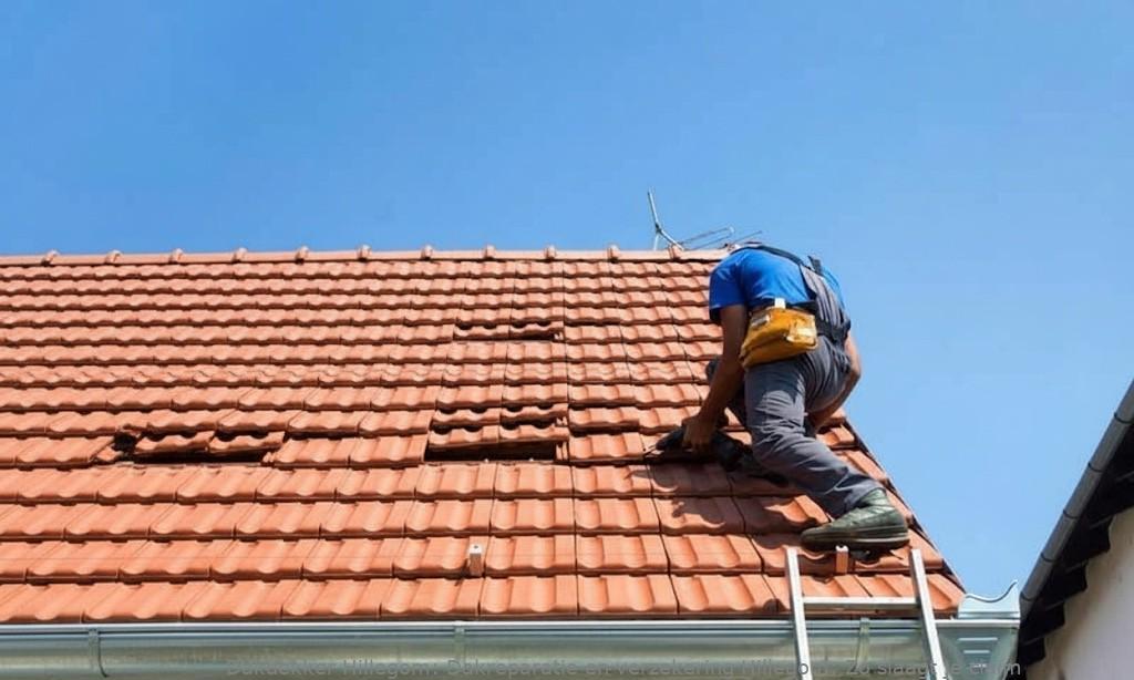Dakreparatie En Verzekering Hillegom