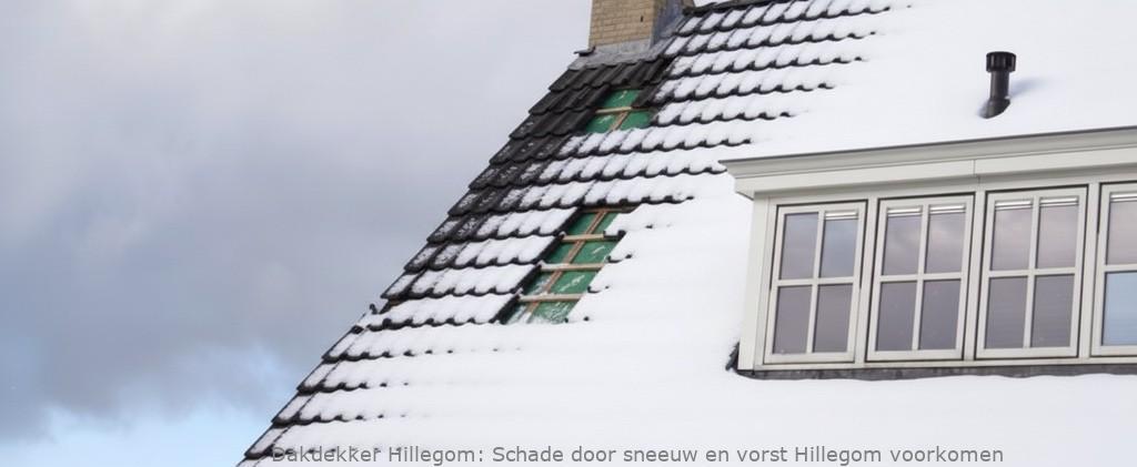 Schade Door Sneeuw En Vorst Hillegom