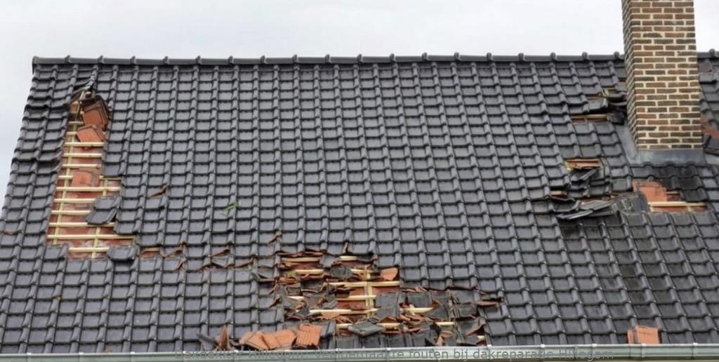 Veelgemaakte Fouten Bij Dakreparatie Hillegom