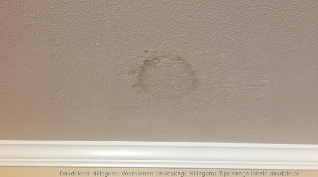 Voorkomen Daklekkage Hillegom