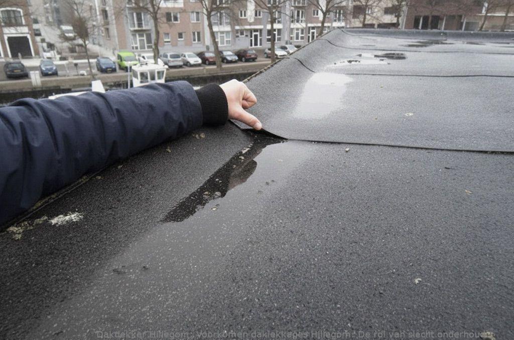 Voorkomen Daklekkages Hillegom